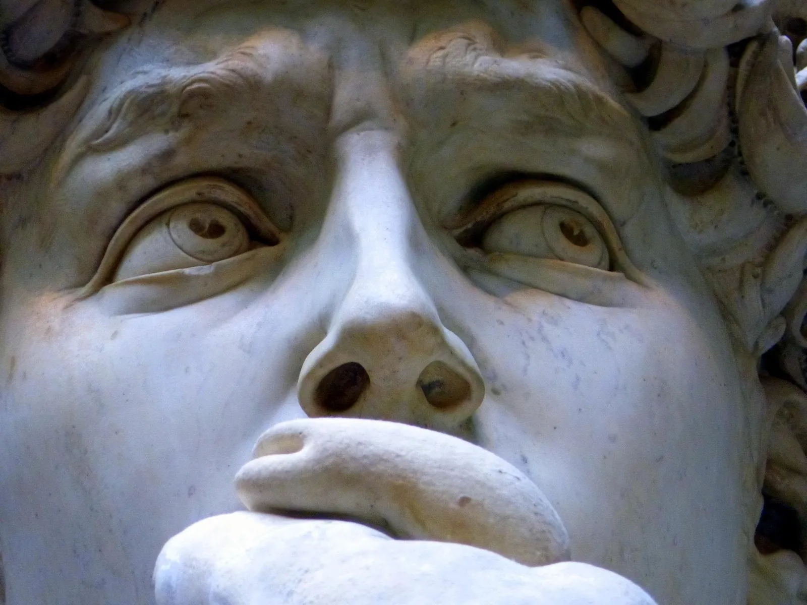 Close-up of the face of Michelangelo's David