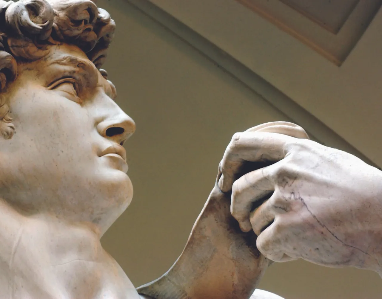 Profile of Michelangelo's David, showing the raised left hand