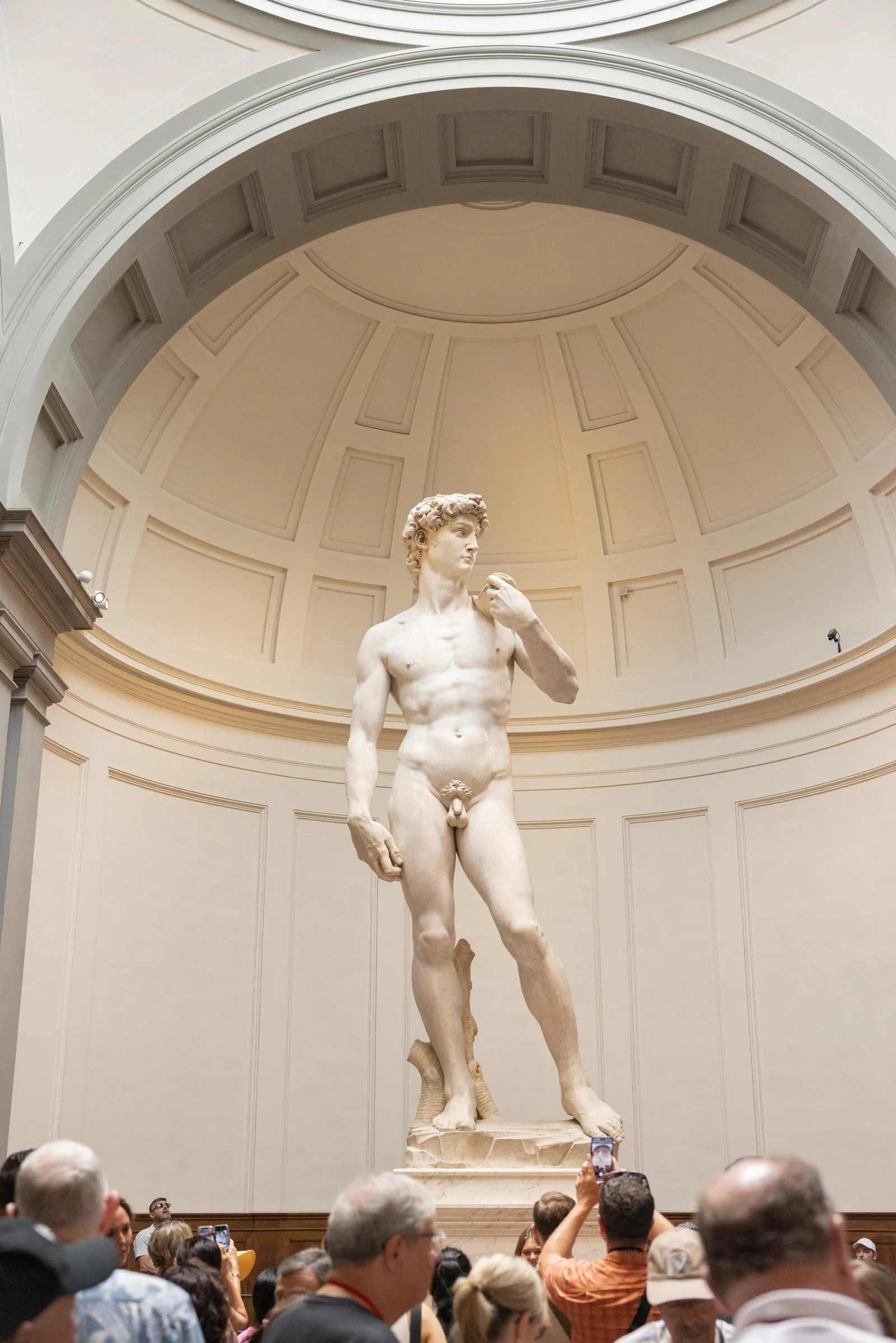 Michelangelo's David in its niche at the end of the gallery