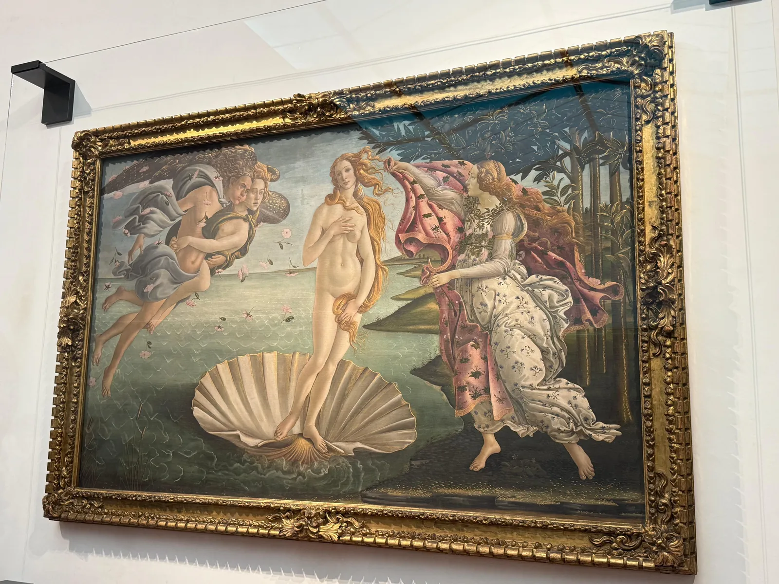 Botticelli's Birth of Venus in its gilded frame